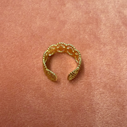 Aurora Link Ring