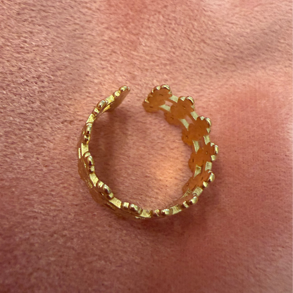 Crown Orbit Band